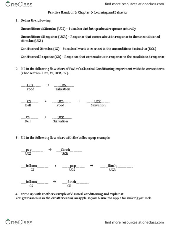 Classical Conditioning Flow Chart