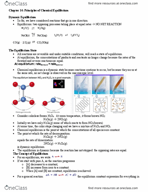 BIO 1130 Lecture Notes - Lecture 13: Dimensionless Quantity, Dynamic Equilibrium, Chemical Equilibrium thumbnail