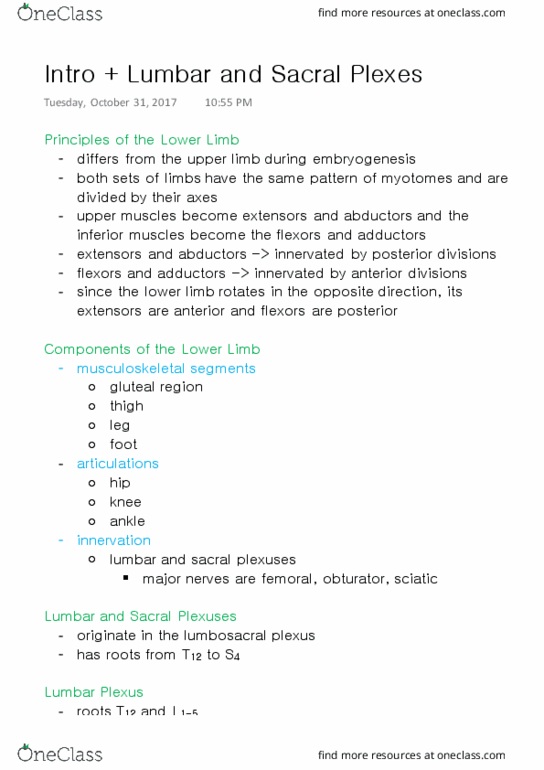 ANAT 315 Lecture Notes - Lecture 19: Lumbosacral Plexus, Ilioinguinal Nerve, Iliohypogastric Nerve thumbnail