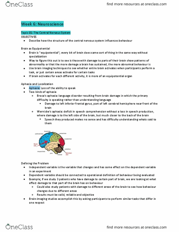 PSYC 100 Chapter Notes - Chapter 6: Inferior Frontal Gyrus, Equipotential, Central Nervous System thumbnail