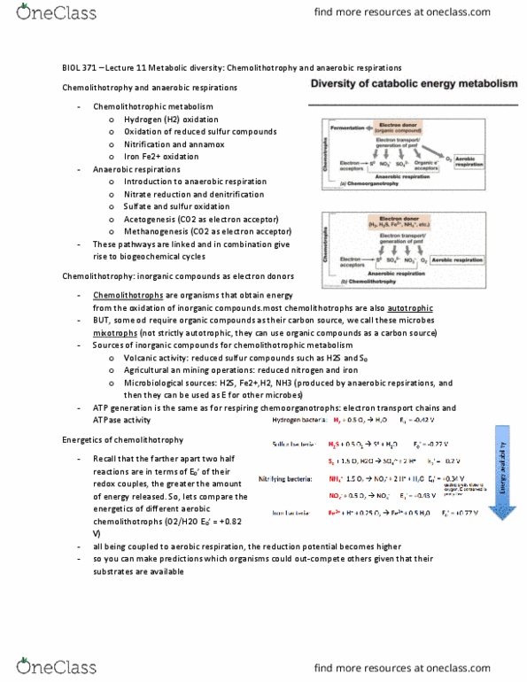 BIOL 371 Lecture Notes - Lecture 11: Hydrogenase, Nitrogen Fixation, Sulfite thumbnail