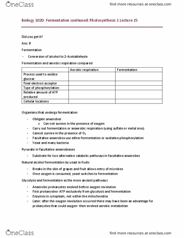 BIOL 1020 Lecture Notes - Lecture 15: Chloroplast, Photon, Phycoerythrin thumbnail