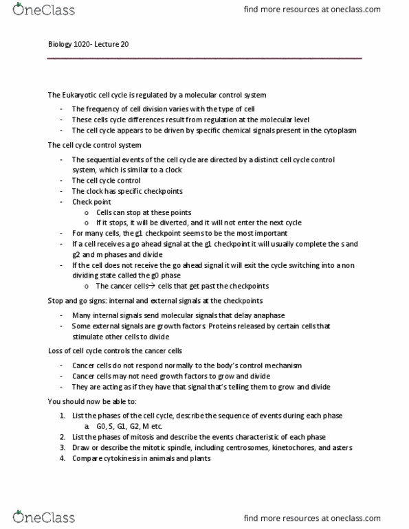 BIOL 1020 Lecture Notes - Lecture 20: Cytokinesis, Spindle Apparatus, Eukaryote thumbnail