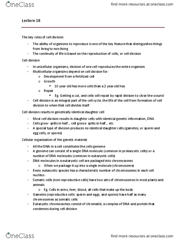 BIOL 1020 Lecture Notes - Lecture 18: Centromere, Sister Chromatids, Prokaryote thumbnail