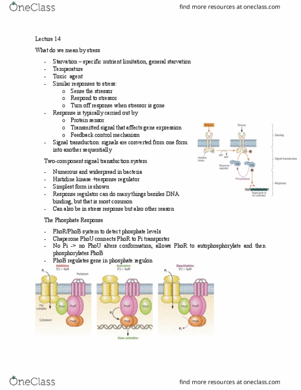 document preview image