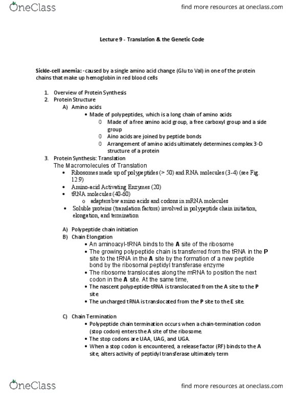 BIOL 1090 Lecture Notes - Lecture 9: Transferase, Peptide, Transfer Rna thumbnail