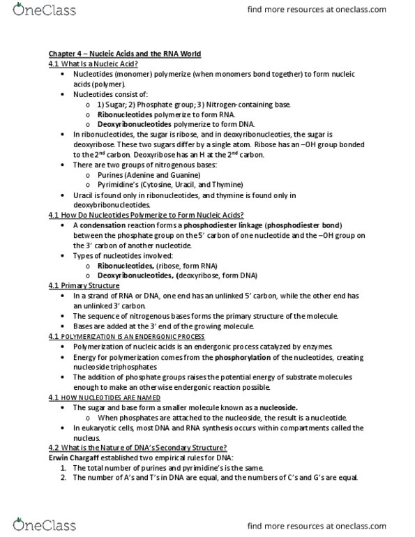 BLG 143 Chapter Notes - Chapter 4: Nitrogenous Base, Erwin Chargaff, Polymerization thumbnail