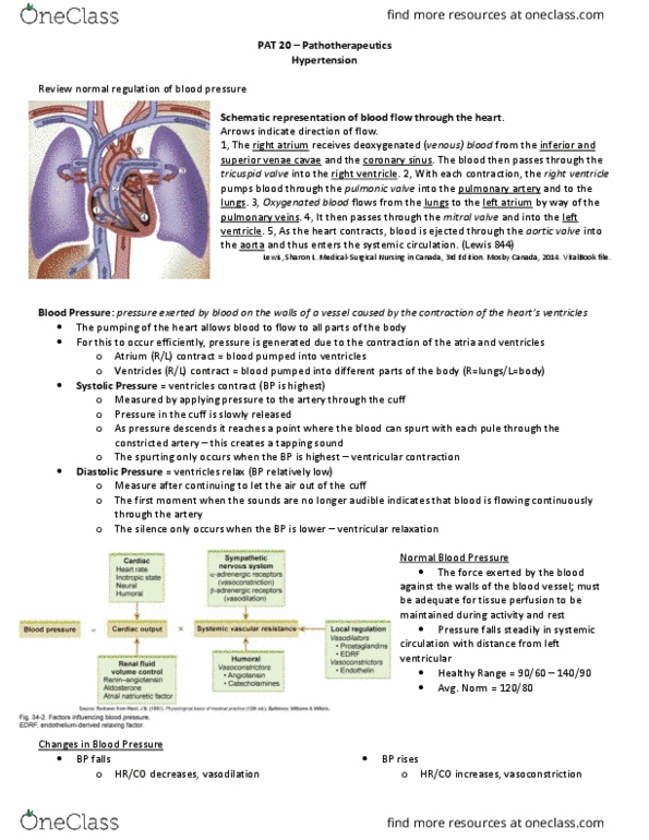 PAT 20A/B Lecture Notes - Lecture 4: Combined Oral Contraceptive Pill, Aorta, Atherosclerosis thumbnail