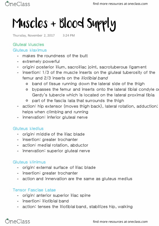 ANAT 315 Lecture Notes - Lecture 21: Quadratus Femoris Muscle, Intertrochanteric Crest, Ischial Tuberosity thumbnail