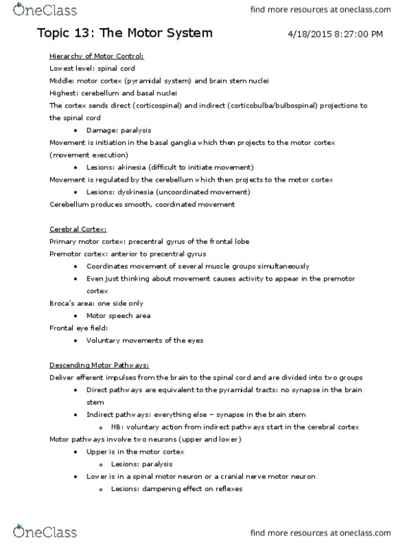 ANP 1106 Lecture Notes - Lecture 13: Afferent Nerve Fiber, Amyotrophic Lateral Sclerosis, Substantia Nigra thumbnail