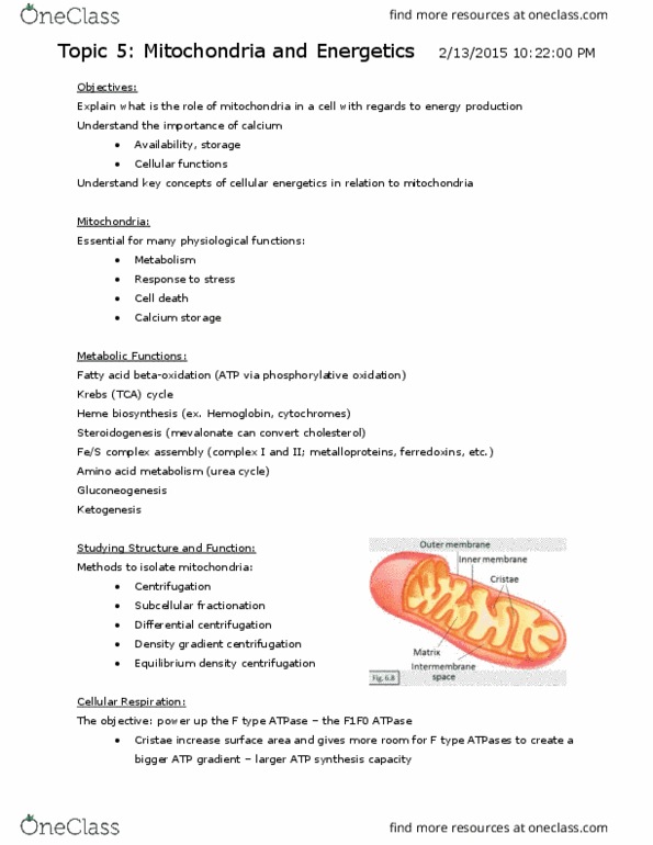 BIO 1140 Lecture Notes - Lecture 5: Reducing Equivalent, Multiprotein Complex, Atp Synthase thumbnail