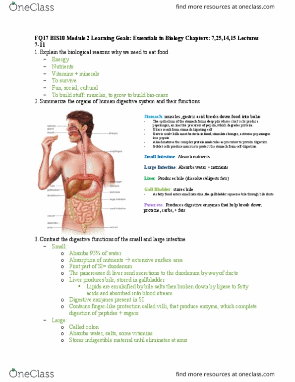 BIS 10 Study Guide Fall 0, Quiz Heredity, Bloating, Brussels Sprout