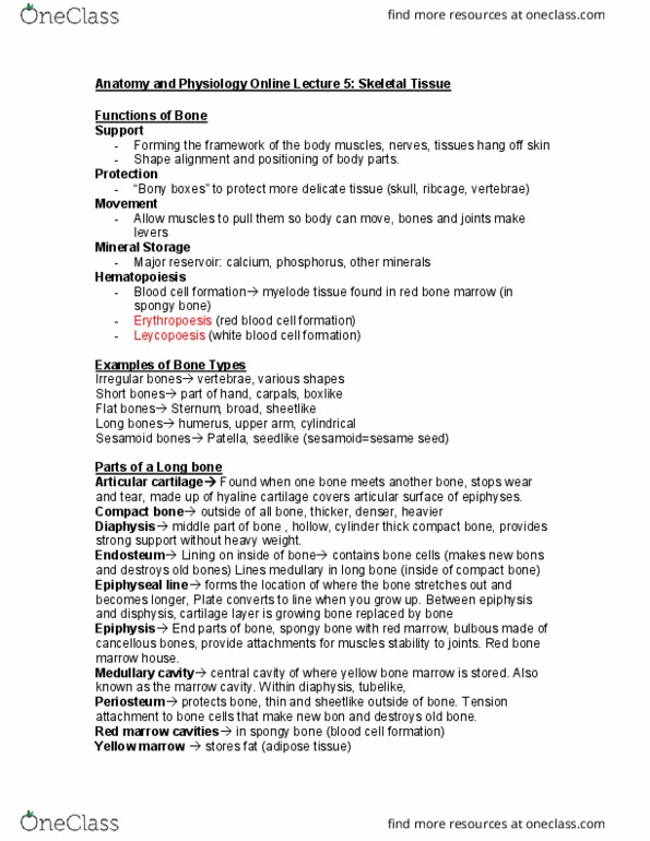 HLSC 1200U Lecture Notes - Lecture 5: Central Canal, Parathyroid Gland, Solution thumbnail