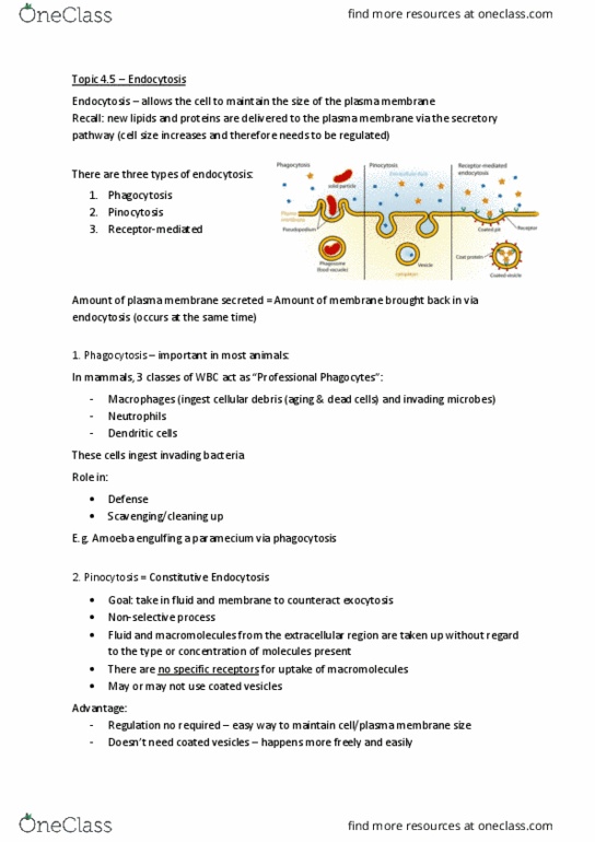 BIOL 200 Lecture Notes - Lecture 24: Lysosome, Low-Density Lipoprotein, Lipoprotein thumbnail