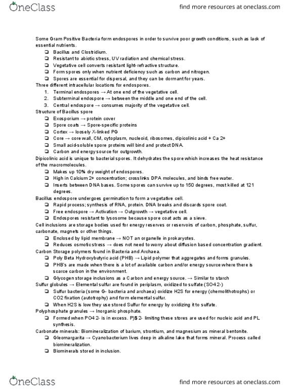 MICRB265 Lecture Notes - Lecture 13: Magnetospirillum, Motility, Greigite thumbnail