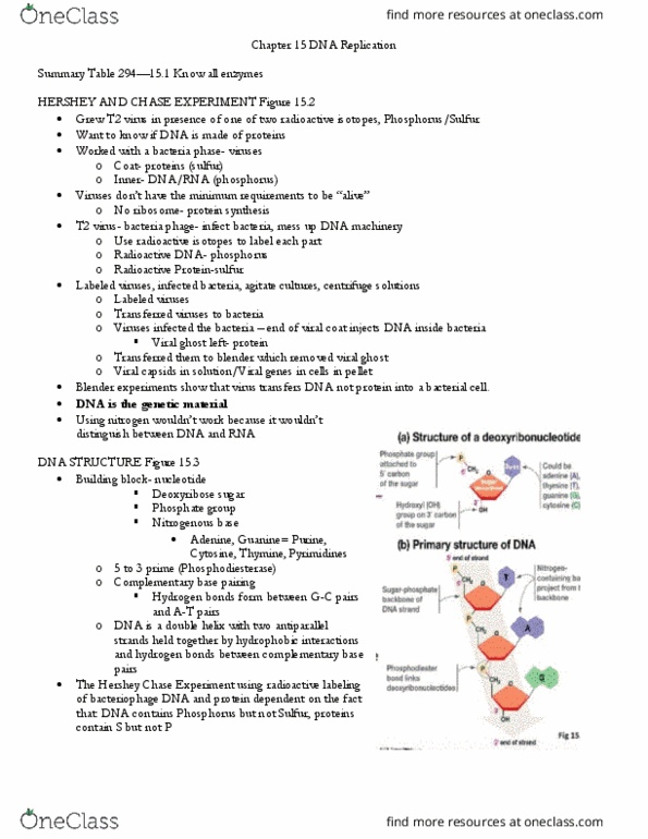 PSYC 301 Lecture Notes - Lecture 4: Chromosome, Amine, Dna Ligase thumbnail