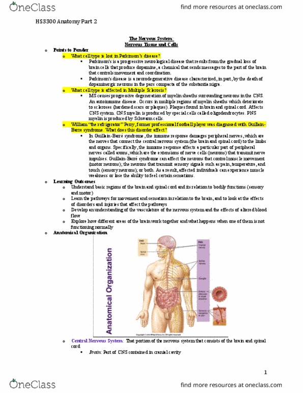 Health Sciences 2300A/B Lecture Notes - Lecture 1: Cardiac Muscle, Neuroglia, Endothelium thumbnail