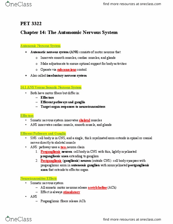 PET-3322 Lecture Notes - Lecture 13: Hair Follicle, Blood Vessel, Reflex Arc thumbnail