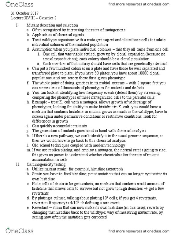 BISC300 Lecture Notes - Lecture 18: Adenine, Reca, Proofreading thumbnail