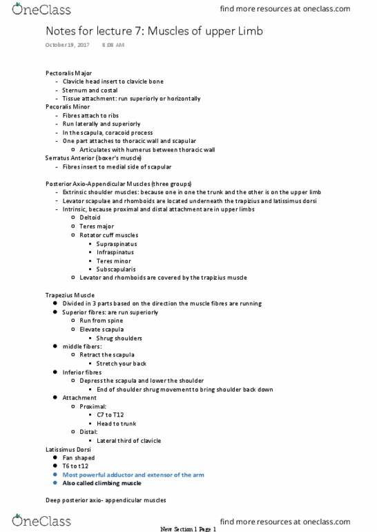 APA 1313 Lecture Notes - Lecture 7: Anconeus Muscle, Lesser Tubercle, Greater Tubercle thumbnail