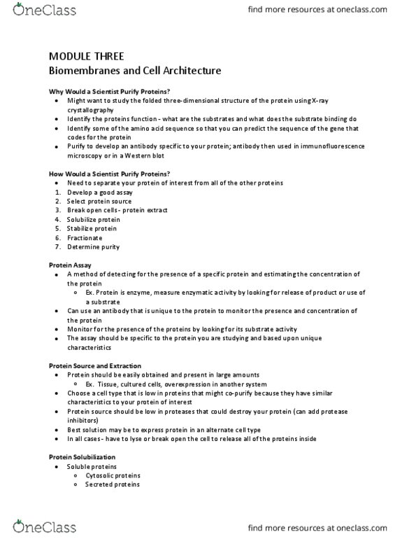 BIOLOGY 2B03 Lecture Notes - Lecture 3: Hydrophile, Fluorescent Tag, Bacteriorhodopsin thumbnail