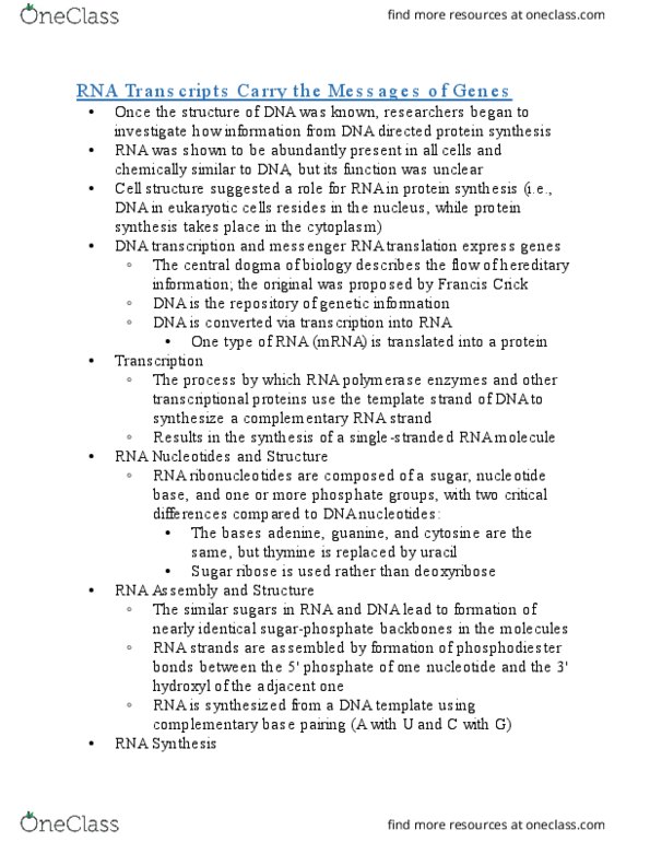 BIMS 320 Lecture Notes - Lecture 8: Chain Termination, Nuclear Membrane, Transcription Factor Ii D thumbnail