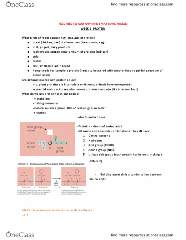 LIFESCI 2N03 Lecture Notes - Lecture 6: Sebaceous Gland, Pepsin, Nitrogen Balance thumbnail