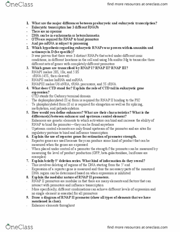 CHEM120L Lecture Notes - Lecture 7: Transcription Factor Ii D, Helicase, Transcription Factor Ii B thumbnail