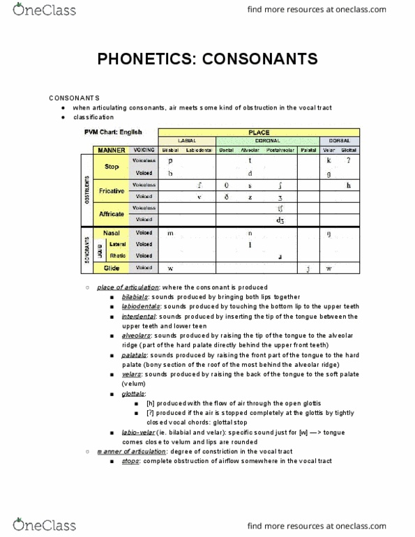 LING 1 Lecture Notes - Lecture 7: Vocal Tract, Soft Palate, Labiodental Consonant thumbnail