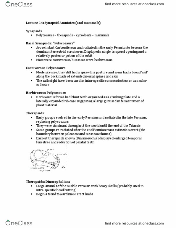 ZOO 2090 Lecture Notes - Lecture 14: Cenozoic, Sebaceous Gland, Integument thumbnail