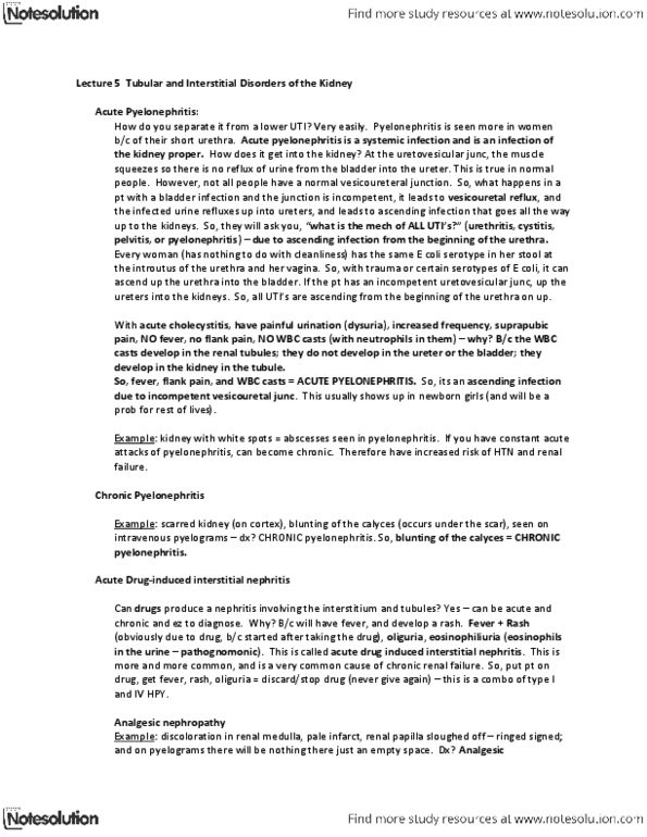 NURS 203 Lecture Notes - Lecture 5: Pyelonephritis, Interstitial Nephritis, Chronic Kidney Disease thumbnail