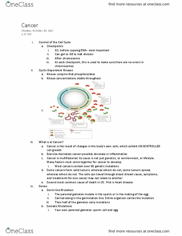 BIOL 1107 Lecture Notes - Lecture 11: Proton Therapy, Trastuzumab, Targeted Therapy thumbnail