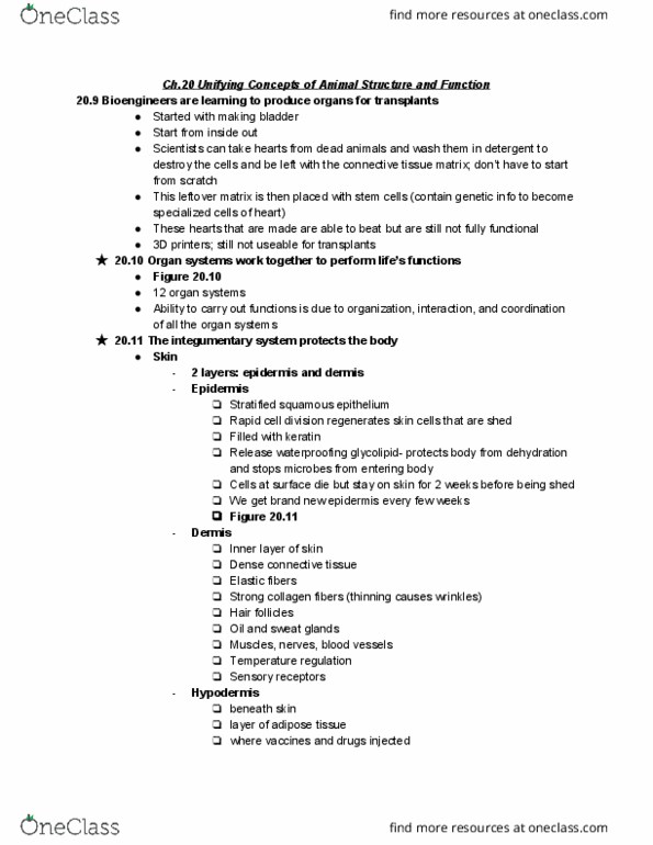 BIOL 1011 Chapter Notes - Chapter 20: Thermostat, Cestoda, Positive Feedback thumbnail