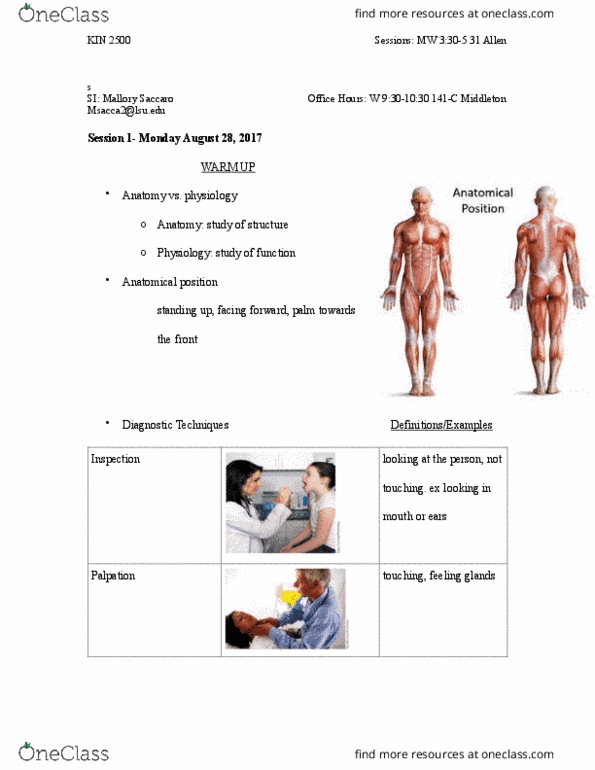 KIN 2500 Lecture Notes - Lecture 1: Organism, Auscultation, Standard Anatomical Position thumbnail