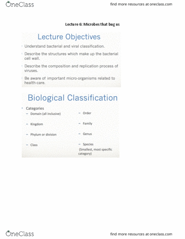 BIOL 1050H Lecture Notes - Lecture 6: Parvovirus, Gonorrhea, Neisseria thumbnail