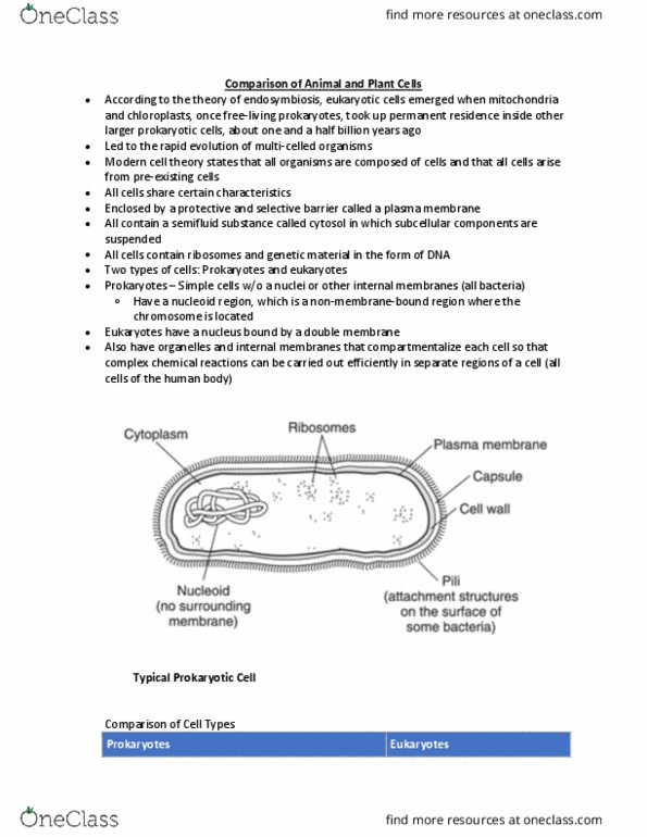 BIOL 1010 Lecture Notes - Lecture 1: Lysosome, Cell Wall, Centrosome thumbnail