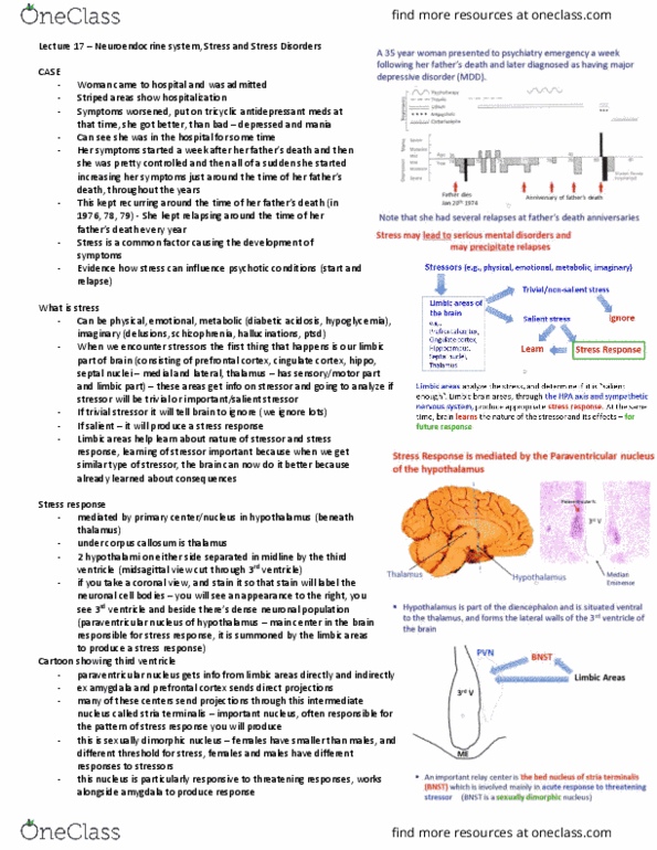 Anatomy and Cell Biology 4451F/G Lecture Notes - Lecture 17: Headache, Norepinephrine, Adrenocorticotropic Hormone thumbnail