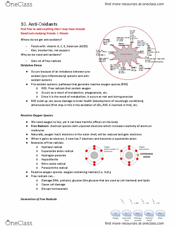 LIFESCI 2N03 Lecture Notes - Lecture 10: Skimmed Milk, Wheat Germ Oil, Retinol Binding Protein thumbnail