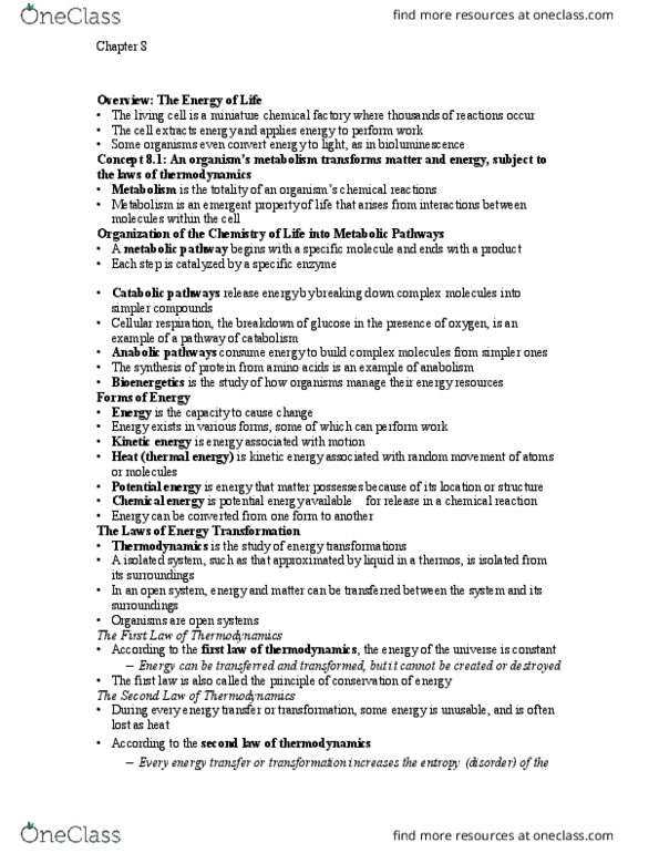 BIO120H1 Chapter Notes - Chapter 8: Ribose, Sucrase, Endergonic Reaction thumbnail