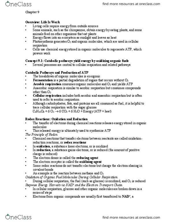 BIO120H1 Chapter Notes - Chapter 9: Chemiosmosis, Acetyl-Coa, Acetaldehyde thumbnail