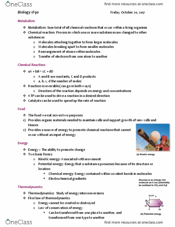 BIOL 1F90 Lecture Notes - Lecture 15: Kinetic Energy, Chemical Reaction, Chemical Energy thumbnail