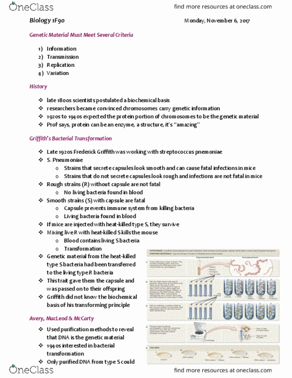 BIOL 1F90 Lecture Notes - Lecture 22: Deoxyribose, Deoxyribonuclease, Cytosine thumbnail