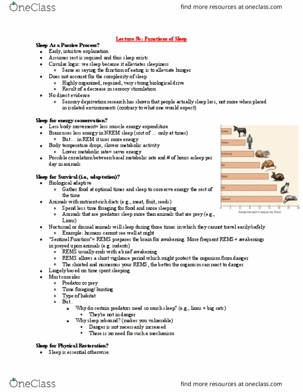 PSY 4327 Lecture Notes - Lecture 5: Synaptic Plasticity, Genetic Programming, Unihemispheric Slow-Wave Sleep thumbnail