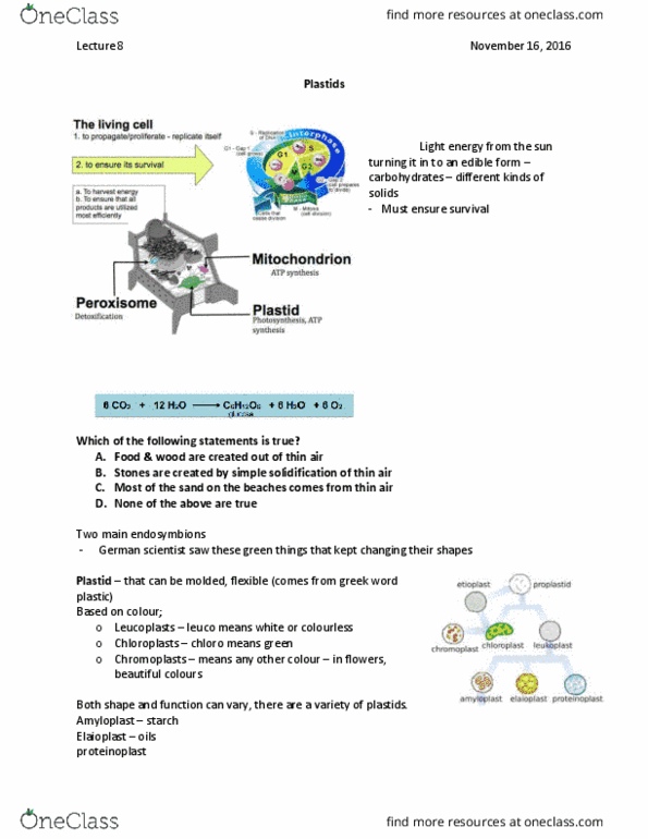 BIOL 1090 Lecture Notes - Lecture 8: Cytosol, Inner Membrane, Intermembrane Space thumbnail