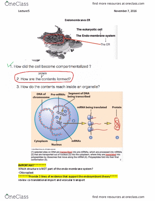 BIOL 1090 Lecture Notes - Lecture 5: Cell Membrane, Lysosome, Translocon thumbnail