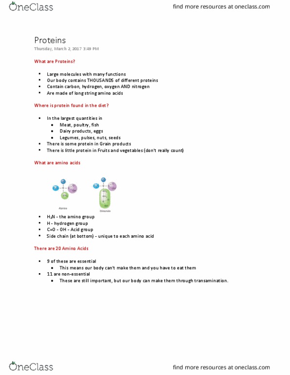 NUTR 1010 Lecture Notes - Lecture 15: Insulin, Prolactin, Transamination thumbnail