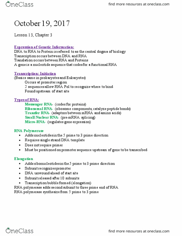BIOL 1105 Lecture Notes - Lecture 13: Mutation, Ribonucleoprotein, Transfer Rna thumbnail