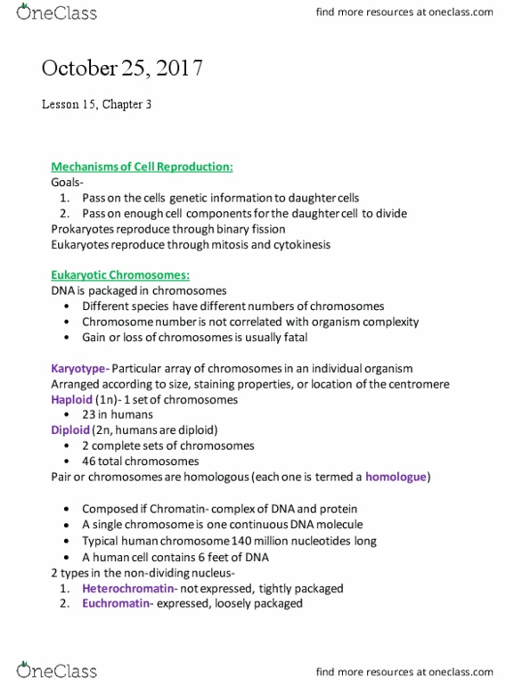 BIOL 1105 Lecture Notes - Lecture 15: Cleavage Furrow, Metastasis, Miscarriage thumbnail