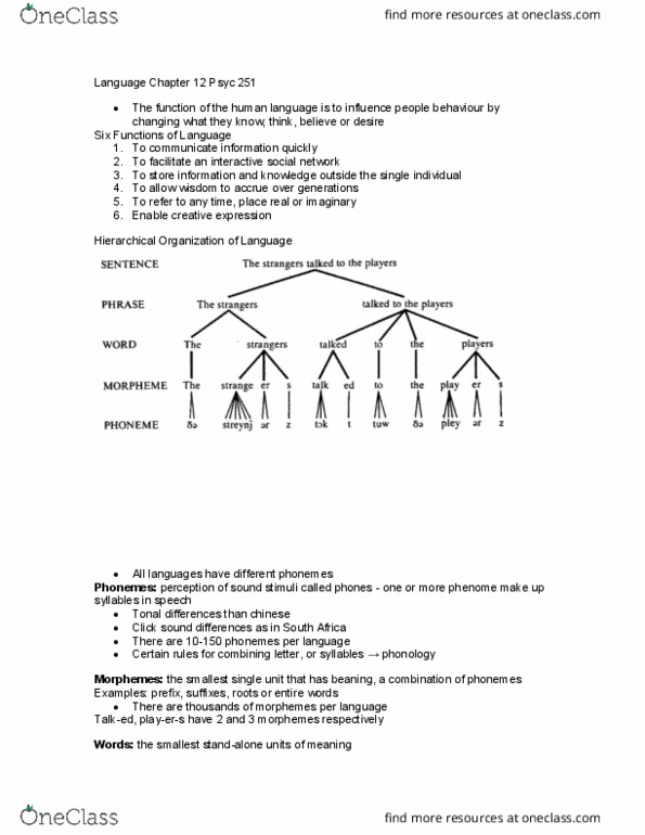 PSYC 251 Lecture Notes - Lecture 2: Korean Shamanism, Visual Cortex, Reinforcement Learning thumbnail