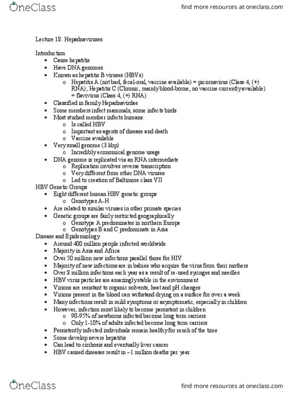 BSC 444 Lecture Notes - Lecture 18: Rna Polymerase Ii, Polyadenylation, Covalent Bond thumbnail